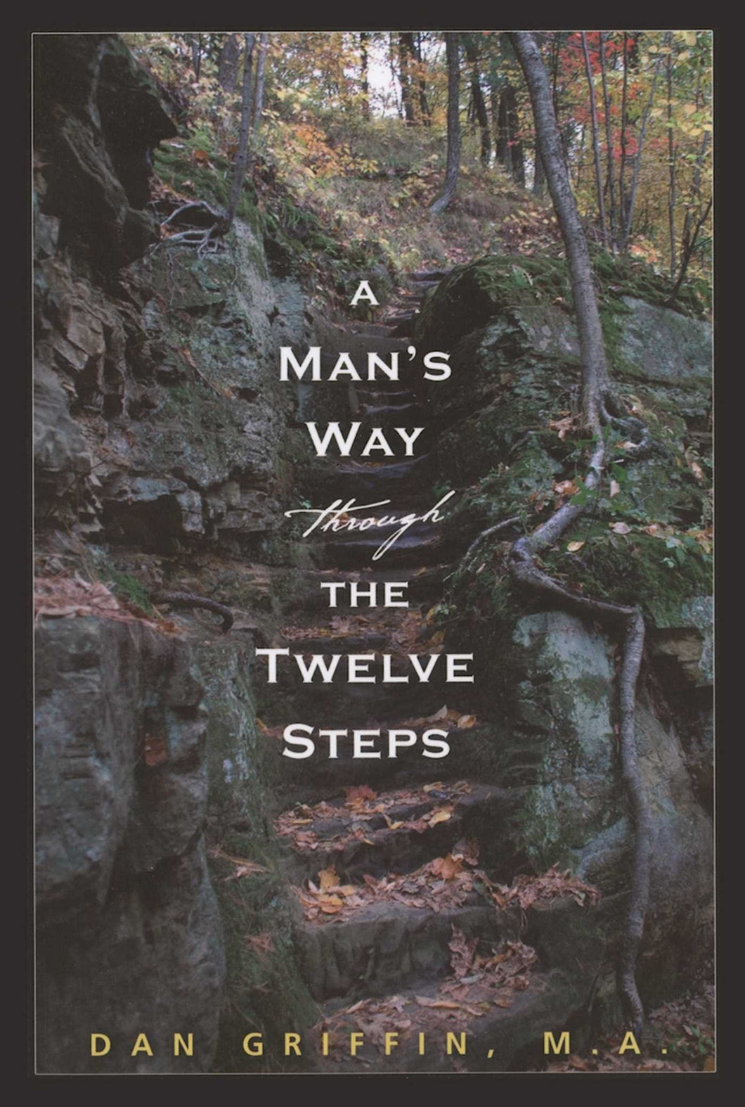 A Man's Way Through the 12 Steps
