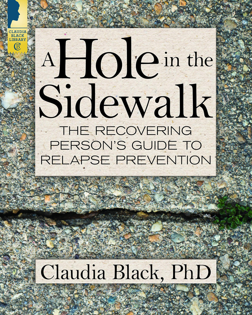 A Hole In The Sidewalk