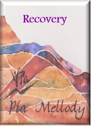 Recovery DVD
